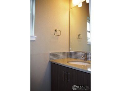 386 Cajetan St, Fort Collins, CO 80524 - photo 6