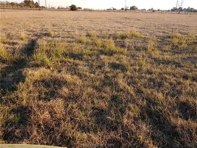 TBD Richard Frey, Waller, TX 77484 - photo 3