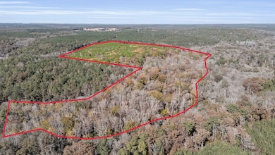 0000 Iron Bridge Rd, Sulligent, AL 35586 - photo 3