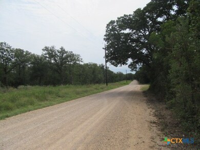 507 County Road 405, Buckholts, TX 76518 - photo 4