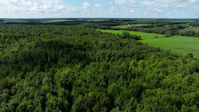 Lot 5 280th St, Glenwood City, WI 54013 - photo 5