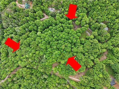 3 Sites in the Cove