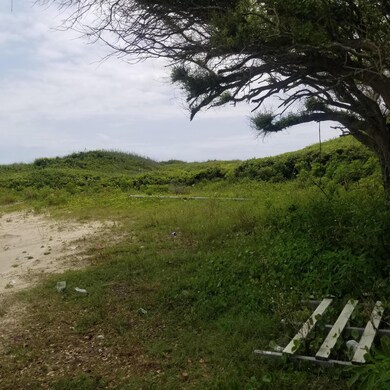 243 Ocean Breeze, Atlantic Beach, NC 28512 - photo 4