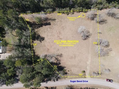 31111 Sugar Bend Dr, Magnolia, TX 77355 - photo 6