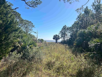 2187 E 98 Hwy, Lanark, FL 32322 - photo 4