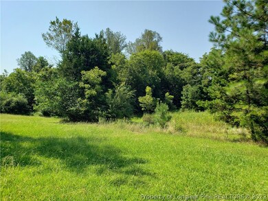 593 Howard Gilliland Rd, Siler City, NC 27344 - photo 6