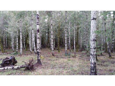 0 Violet Dr unit 100, Sheridan, OR 97378 - photo 5