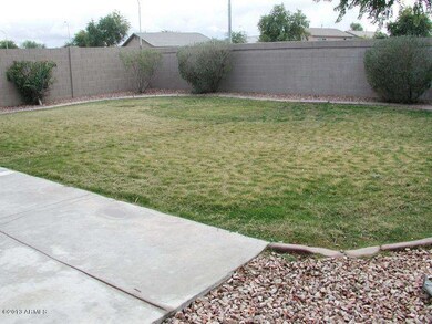 Large Grassy Back Yard