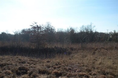 TBD Old Agnes Rd, Weatherford, TX 76088 - photo 5