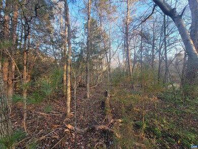 0 Marchia Ln unit 31C 645648, Charlottesville, VA 22902 - photo 3