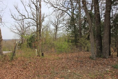 Lot 3 E Ar Hwy 264, Lowell, AR 72745 - photo 2