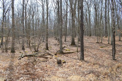 147 Lakeview Cir, Lackawaxen Township, PA 18428 - photo 2