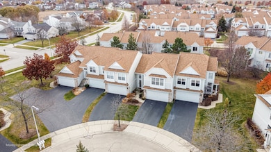 1141 Delta Ct unit 255E, Elgin, IL 60123 - photo 5