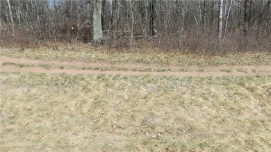 Lot 1 Minerva Dam Rd, Swiss, WI 54830 - photo 3
