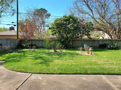Large Backyard