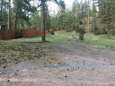 7245 & 723 Trout Creek Rd, Helena, MT 59602 - photo 7