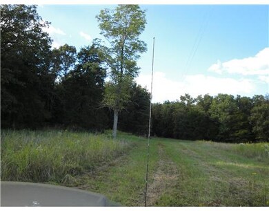 426 Sulphur City Rd, Fayetteville, AR 72701 - photo 3