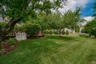 929 W Bailey Rd, Naperville, IL 60565 - photo 4