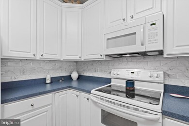 30413 Cedar Neck Rd unit 309, Ocean View, DE 19970 - photo 7