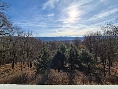 204 Roderick Rd, Williamsport, PA 17701 - photo 7