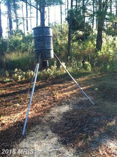 1807 Crocheron Rd, Toddville, MD 21672 - photo 6