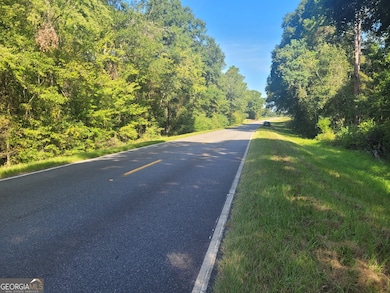 LOT 224 Chula Brookfield Rd, Tifton, GA 31794 - photo 7
