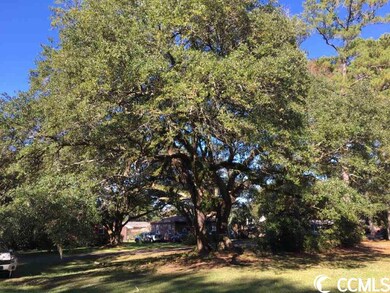 TBD Wren St, Georgetown, SC 29440 - photo 7