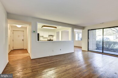 1 Mullingar Ct unit 101, Lutherville Timonium, MD 21093 - photo 5