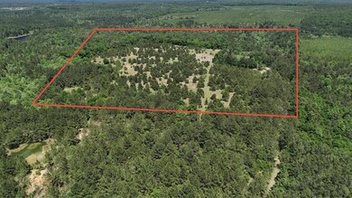 0 John Kelly Rd unit 23449437, Chunchula, AL 36521 - photo 3