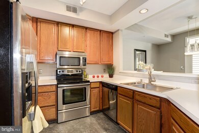 1334 Garden Wall Cir unit D, Reston, VA 20194 - photo 4