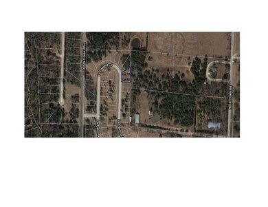 231 La Paloma Cir, Gordonville, TX 76245 - photo 3