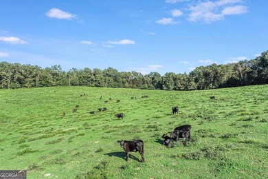 441 Expressway, Mount Airy, GA 30563 - photo 4