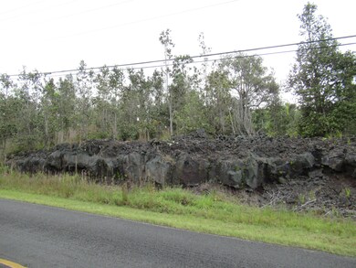 92-1807 Oceanview Pkwy, Ocean View, HI 96737 - photo 4