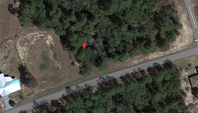 00 SW 173rd Place Rd, Ocala, FL 34473 - photo 2