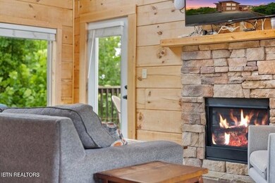 460 Alpine Mountain Way, Pigeon Forge, TN 37863 - photo 7