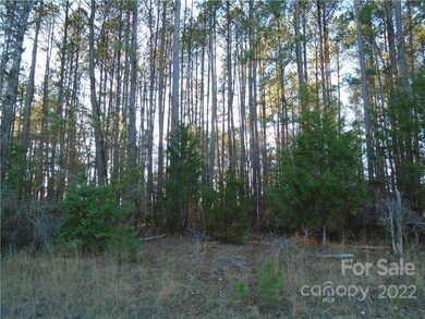 501 Riddle Mill Rd, Clover, SC 29710 - photo 3