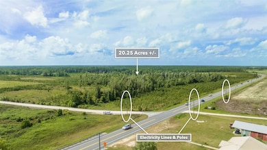 0 Sr 71 S unit MFRT3538966, Wewahitchka, FL 32449 - photo 3