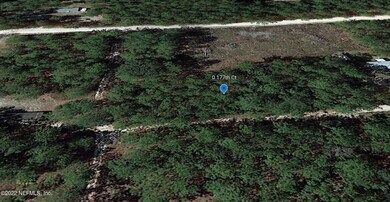 aerial view2