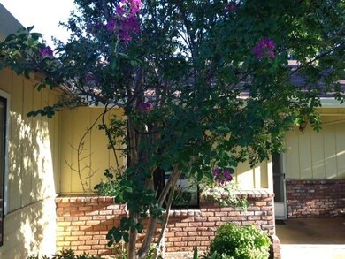 photo4