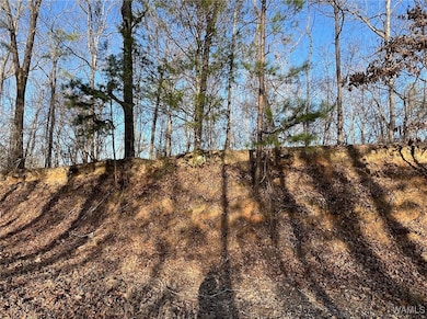 0000 Lake Lurleen Rd, Coker, AL 35452 - photo 2