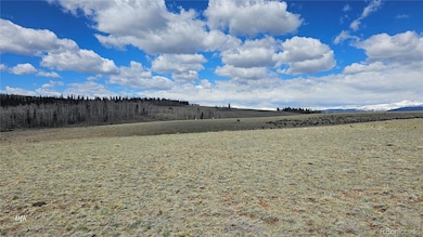 329 Albino Rd unit 173, Jefferson, CO 80456 - photo 5