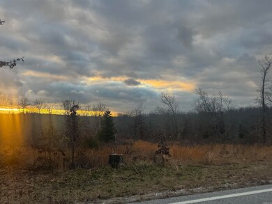 Lot 9 S Bend Dr, Horseshoe Bend, AR 72512 - photo 5