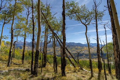 Aspens