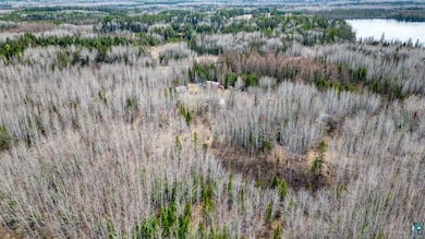 5303 Markham Rd, Colvin Township, MN 55763 - photo 5