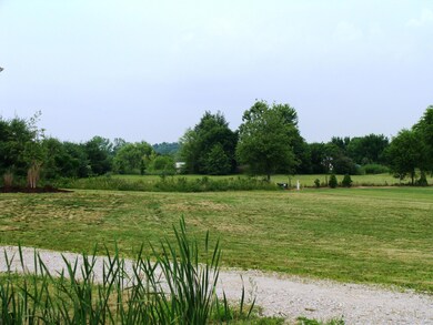 Front Yard View