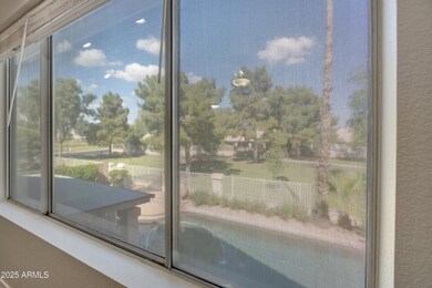 Greenbelt from back windows