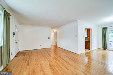 5821 Dewey Dr, Alexandria, VA 22310 - photo 6