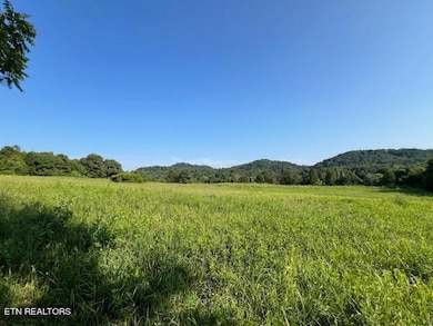 7662 Haws Rd unit 2, Knoxville, TN 37920 - photo 6