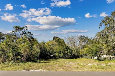 Street view showing partial clearing.