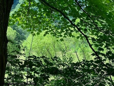 326 Joes Run Rd, Mannington, WV 26582 - photo 4